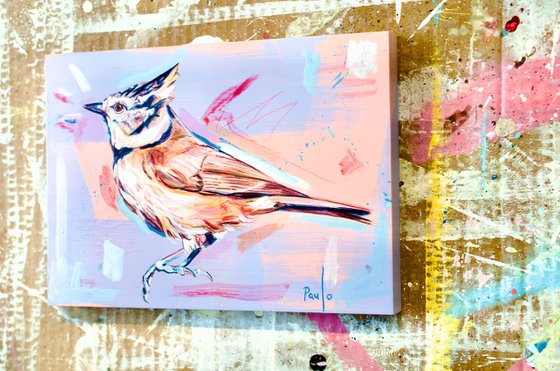 Crested tit