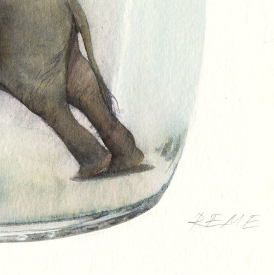 An Elephant in a Jar III