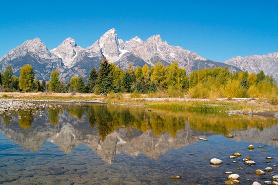 Snake River Reflections