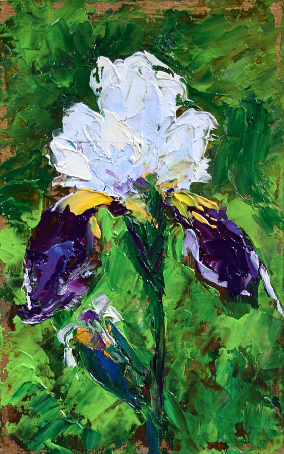 Iris I
