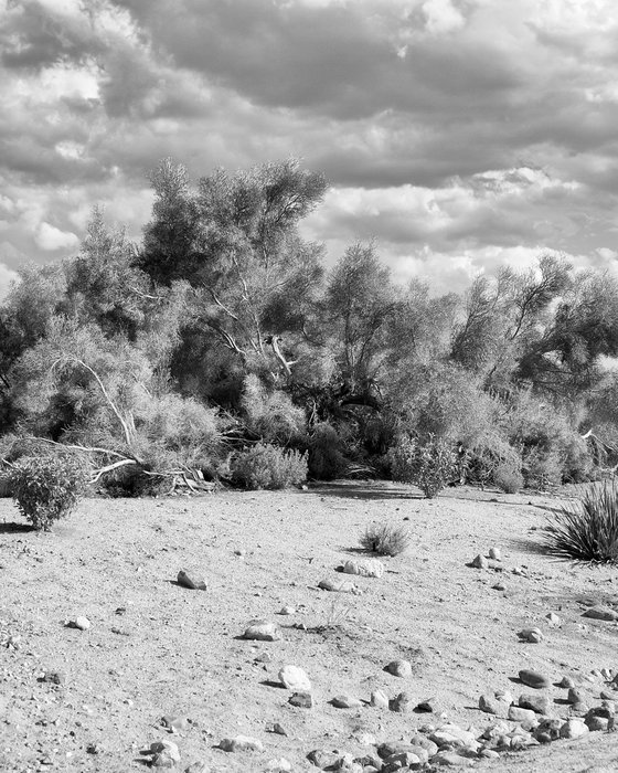 AFTERNOON CLOUDS NOIR