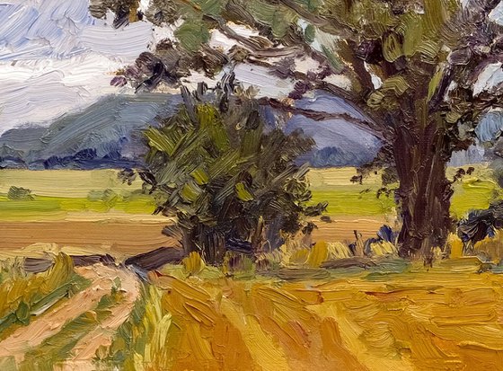 Harvested Fields, Bulmer