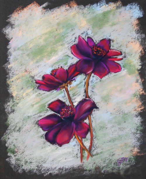 Purple flowers by Salana Art Gallery