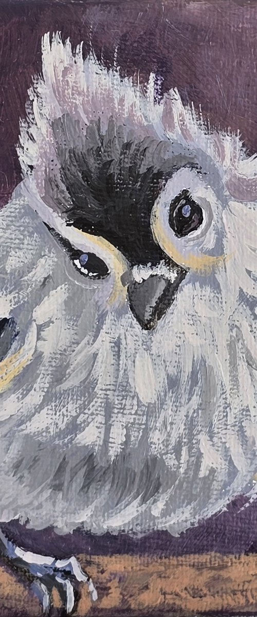 "Tufted Titmouse" by Olena Kolotova