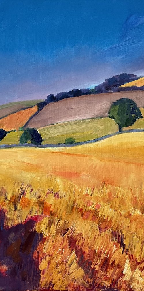 'Summer hillside, Fife' by Stephen Howard Harrison