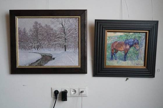 At the Ponomarka River in January