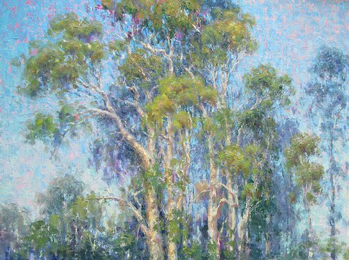 The Eucalyptus Grove by Susan Sarback