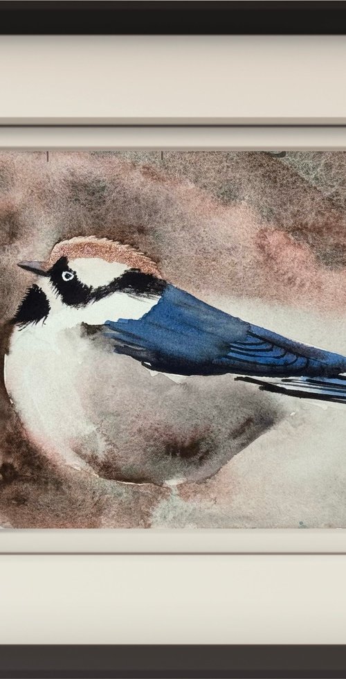 Black-throated bushtitg by Yuliia Sharapova