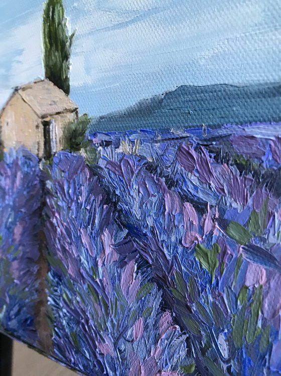 Provence Lavender field 100%Original Oil Painting