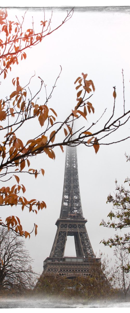 Tour Eiffel by Louise O'Gorman