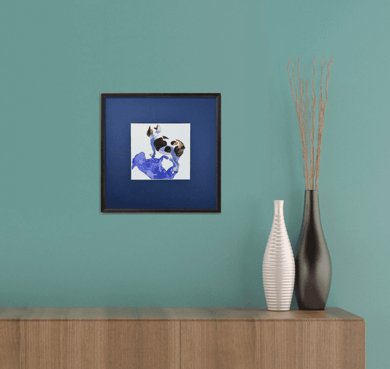 French Bulldog Black White Dog