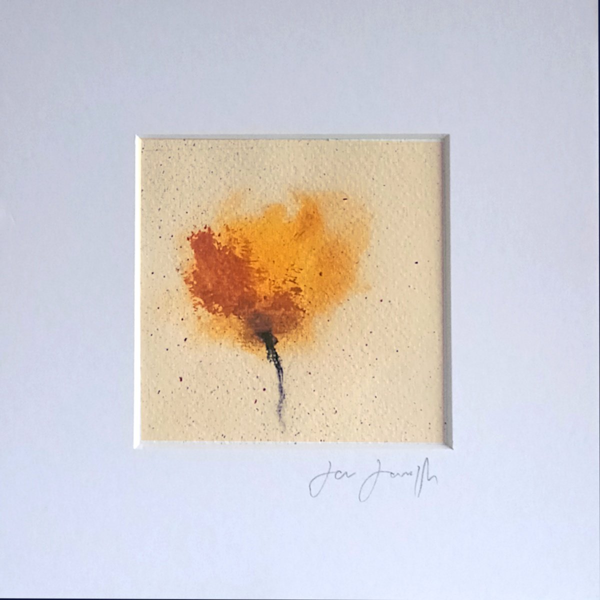 Floral 23 - Small abstract framed floral painting by Jon Joseph