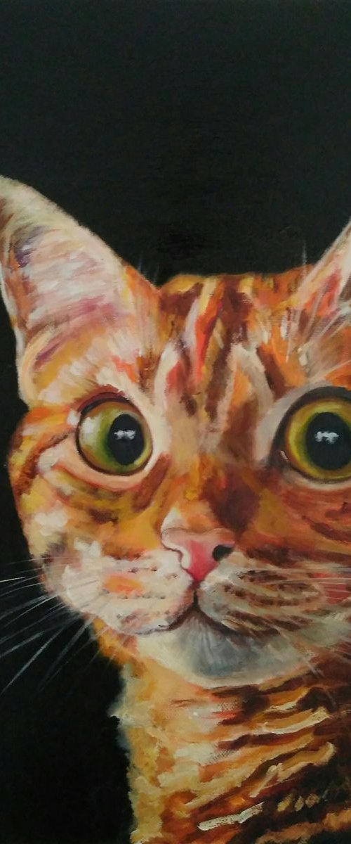Red cat by Yulia Berseneva