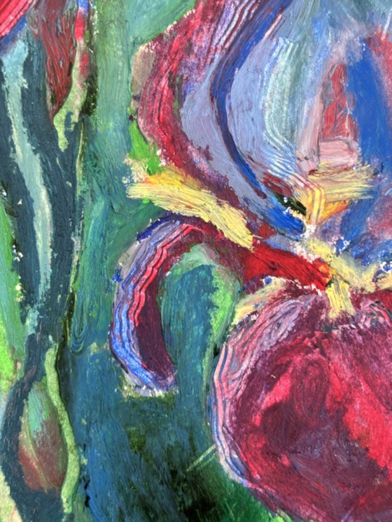 Irises