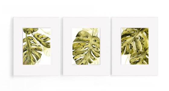 Monstera leaf watercolor paintings 3 set