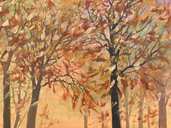 Breezy woods