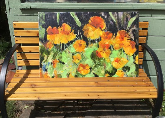Nasturtiums