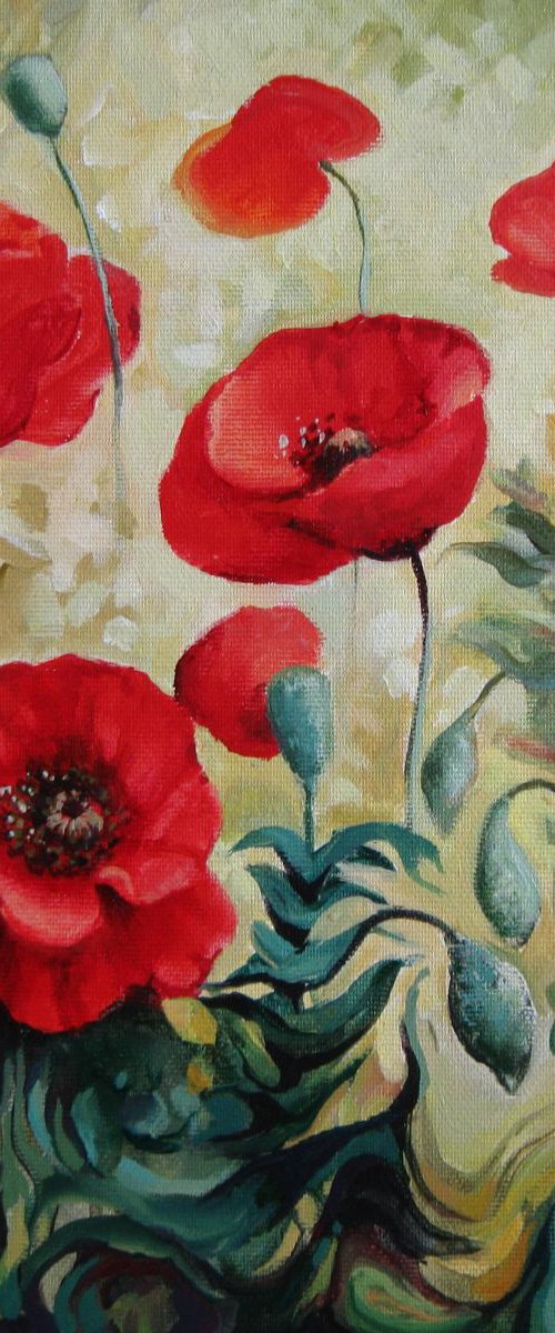 Summer poppies by Elena Oleniuc