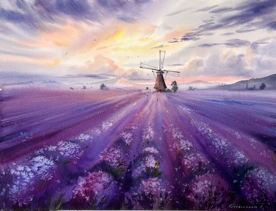 Lavender Dreams