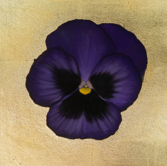 Pansy #20