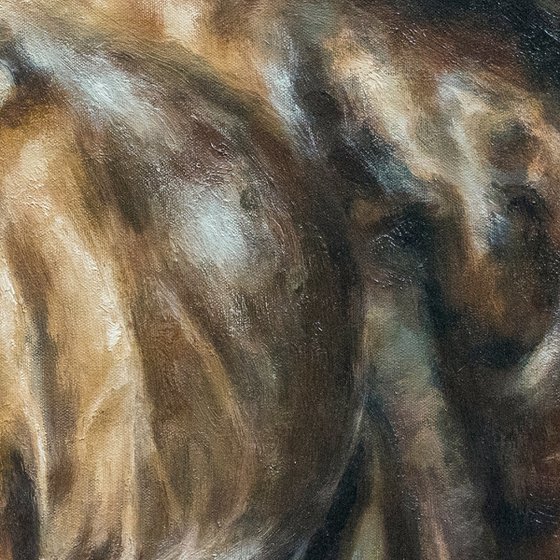 Stallion-Original Horse Portrait