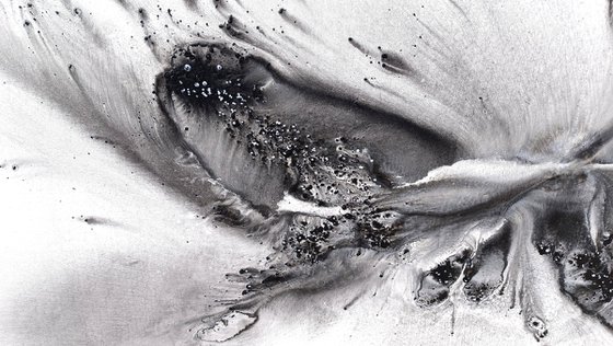 Nature 579 — Abstract Windswept Feather