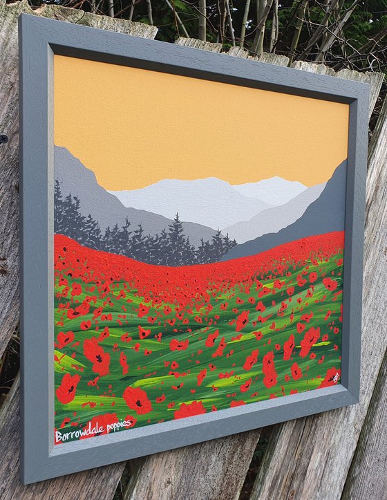 Borrowdale Poppies, The Lake District