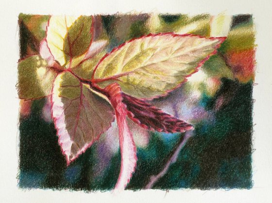 Leaves barely hatched #1 Realistic fine art Still life drawing Ideal gift deco design Christmas