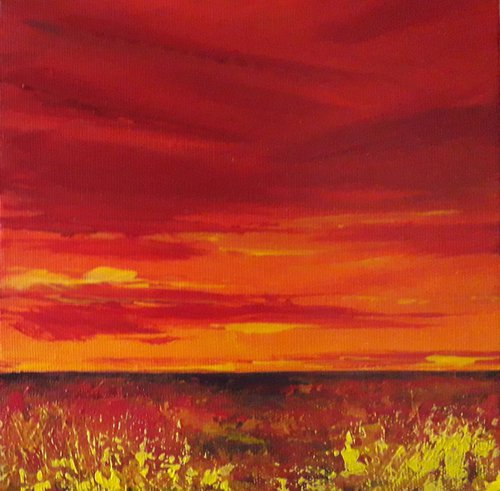 Sunset Fields by Sue Knight