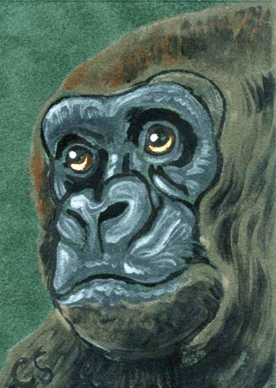 ACEO ATC Original Suede Painting Ape Gorilla Wildlife Art-Carla Smale