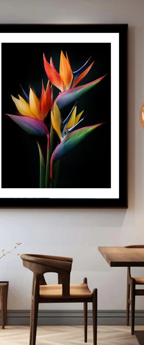 Bird of Paradise by MICHAEL FILONOW