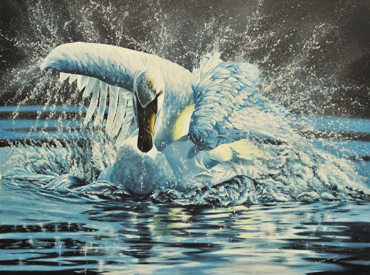 Mute Swan tempest by Julian Wheat