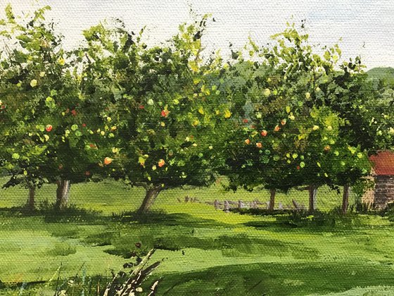 The Apple Orchard