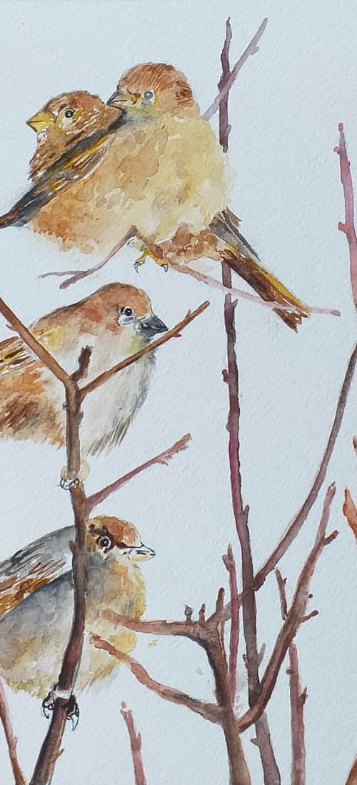 SPARROWS 32.5 x 30 cm by Zoran Mihajlović Muza