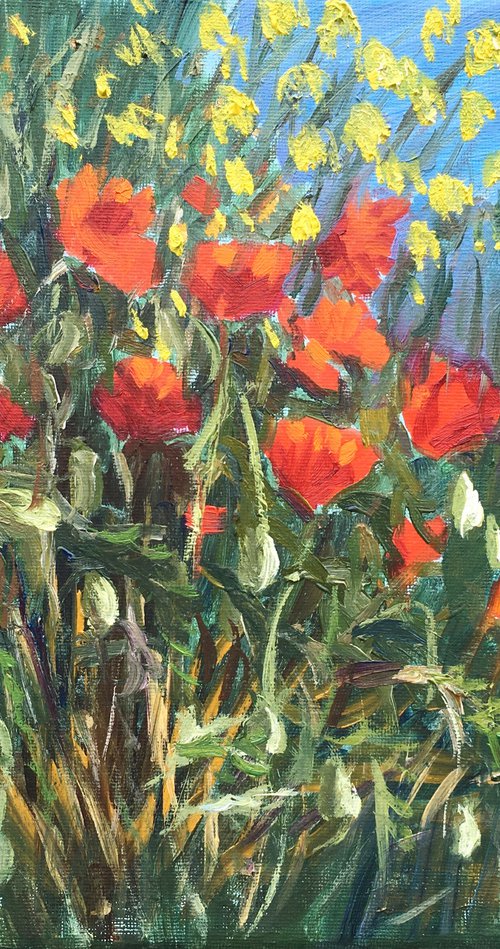 Poppies 4 by Elena Sokolova