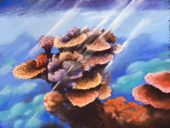 CORAL REEF