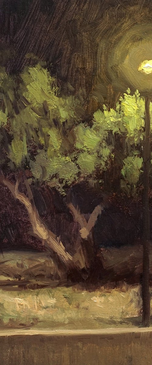 Night in the park by Daniel Thoms