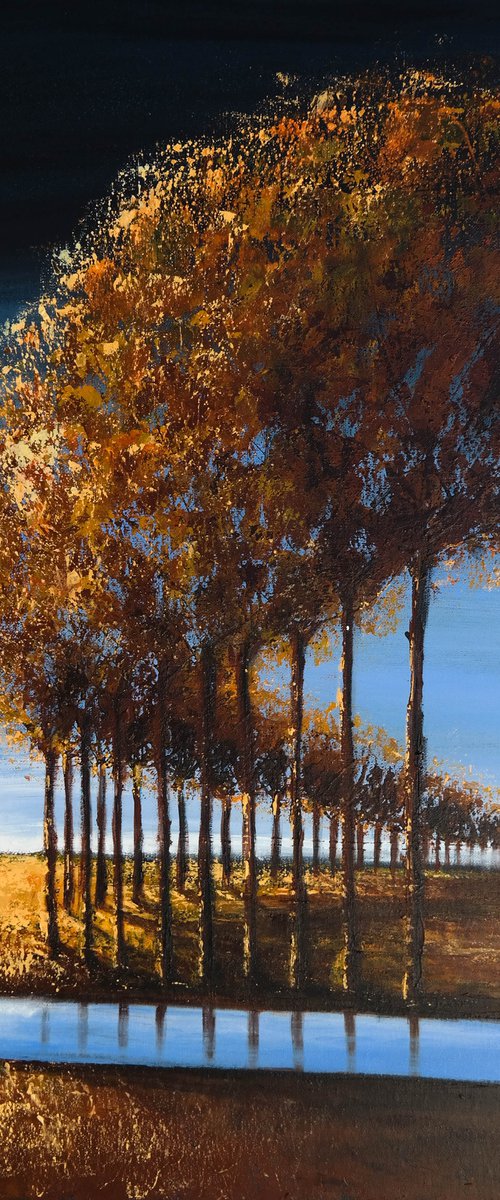 Limited Reflexions  - Fields and Colors Series by Danijela Dan