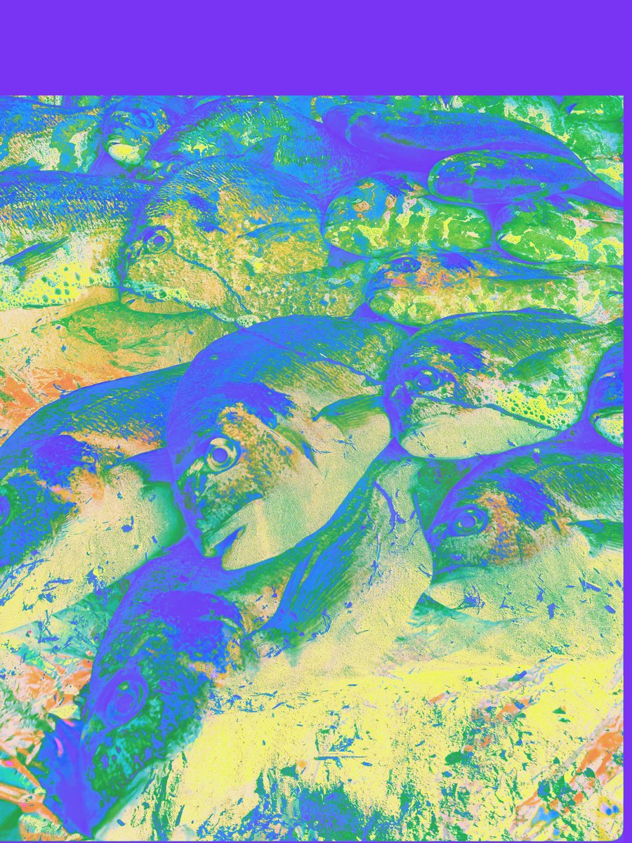 Abstract Animal Giclee Print By Yuliia Sharapova, 17 X 22", Digital Collage Colorful Fish, Original Artwork