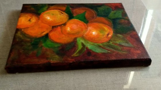 Still Life of a branch of Mandarin Oranges