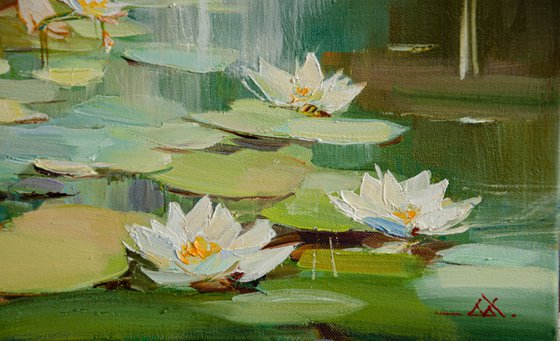 In the Embrace of a Fairy Lake