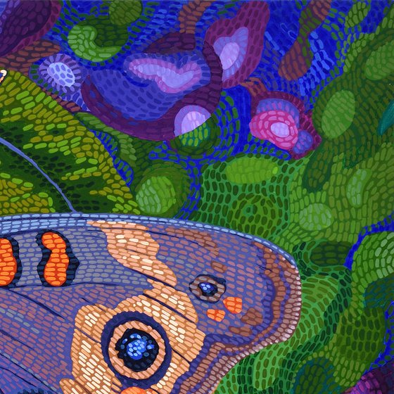Buckeye Butterfly