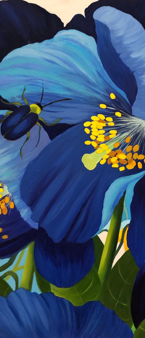 ‘Blue Poppies’ by Fiona Taylor