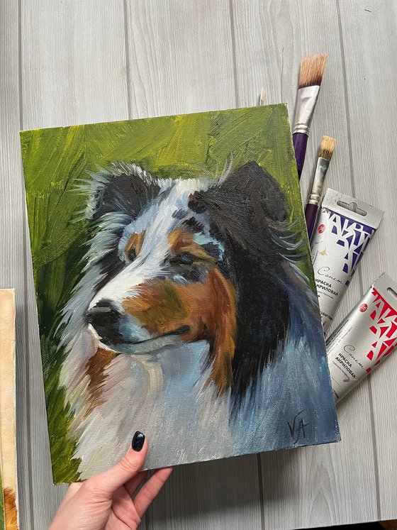 Rough Collie