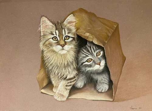 Kittens by Maxine Taylor