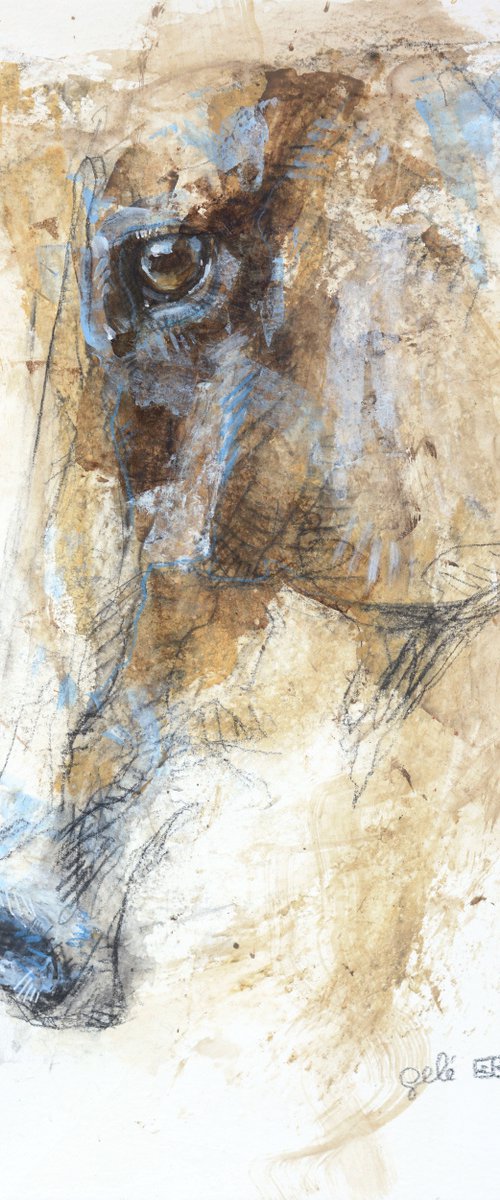 Expression 18t by Benedicte Gele