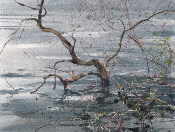 Silver Light on Latumer See