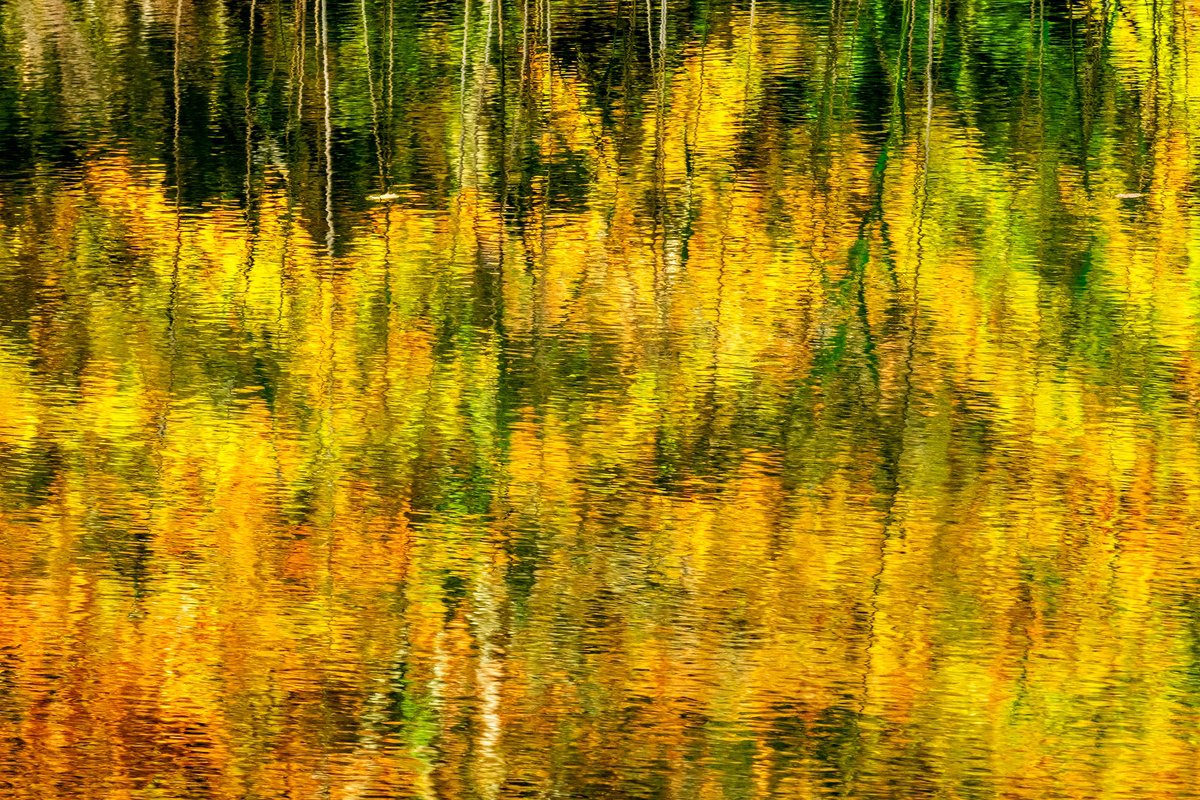 Photorealistic Landscape Photograph By Stephen Hodgetts Photography, 19 X 13", Autumn Trees - Loch Vaa Scotland, Artfinder
