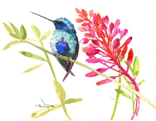 Hummingbird and pink coral red flowers by Suren Nersisyan