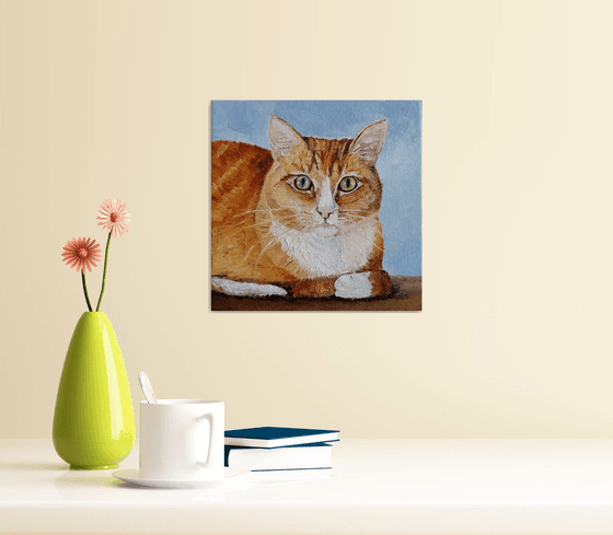 Lovely ginger cat